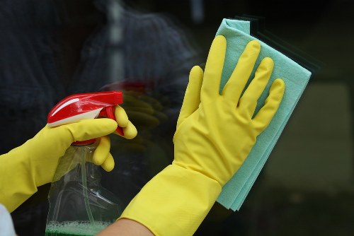 Professional pet stain and odour removal for carpets in Elephant and Castle