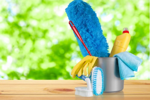 Accessibility statement introduction for Elephant And Castle Cleaners