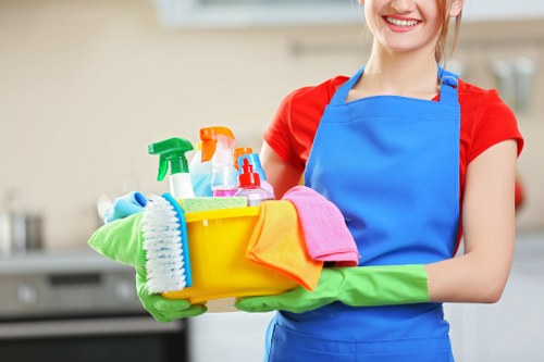 Professional end of tenancy cleaning in a modern Elephant and Castle flat
