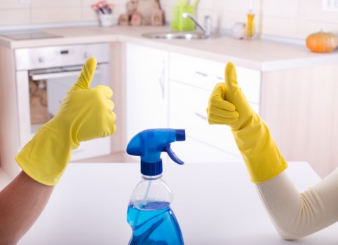 Regular cleaning service in Elephant and Castle for local homes and flats