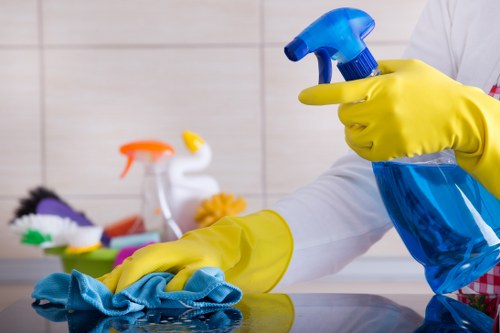 Local cleaning treatment for pet accidents on upholstery in Elephant and Castle