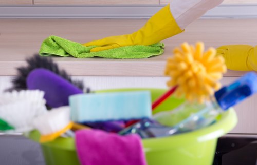 Professional move in cleaning for a modern Elephant And Castle apartment