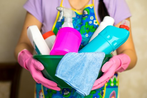 Professional carpet cleaning for a flat in Elephant and Castle