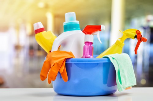 Elephant and Castle cleaners providing professional home cleaning services