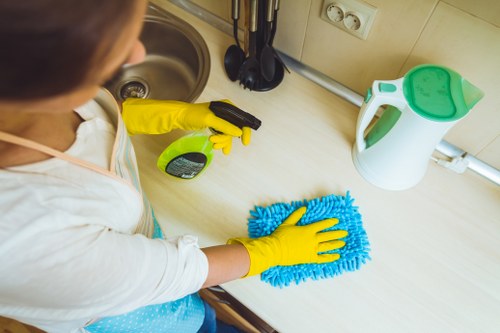 Deep cleaning process for pet mess removal in Elephant and Castle