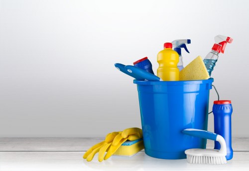 Professional oven cleaning service for Elephant And Castle homes and flats