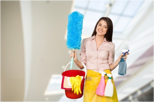 Domestic cleaning support for busy households in Elephant and Castle