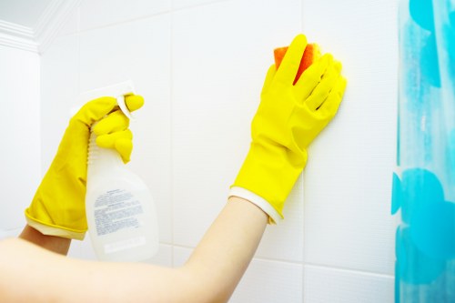 Deep carpet cleaning process for local residential properties
