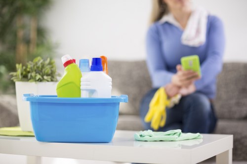 Upholstery cleaning equipment used on a fabric sofa