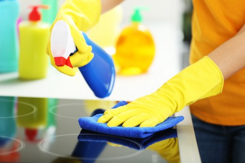 Cleaner preparing a move out cleaning service in a modern Elephant and Castle apartment