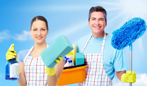 Freshening carpets and soft furnishings after pet stains in Elephant and Castle